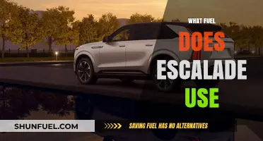 Escalade Fuel Type: Gasoline, Diesel, or Hybrid Options Explained