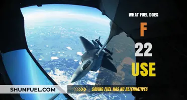 F-22 Raptor Fuel: Unveiling the Power Source of the Stealth Fighter