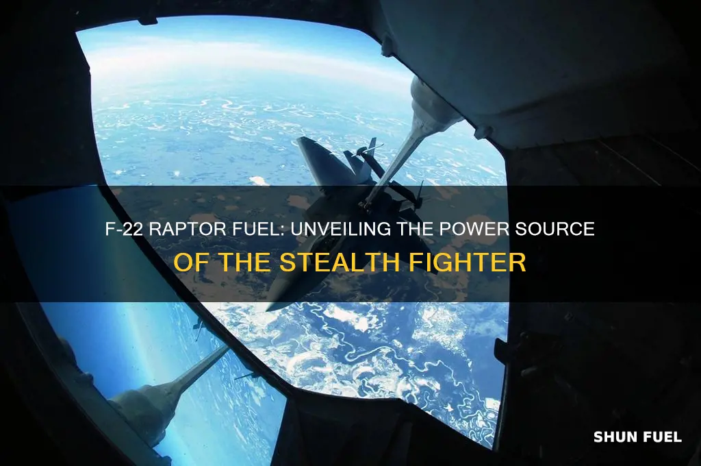 what fuel does f 22 use