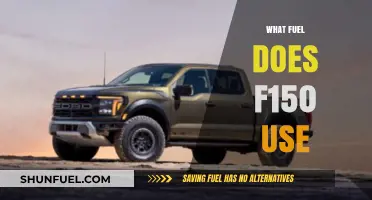 Exploring the Fuel Options for the Ford F150 Truck