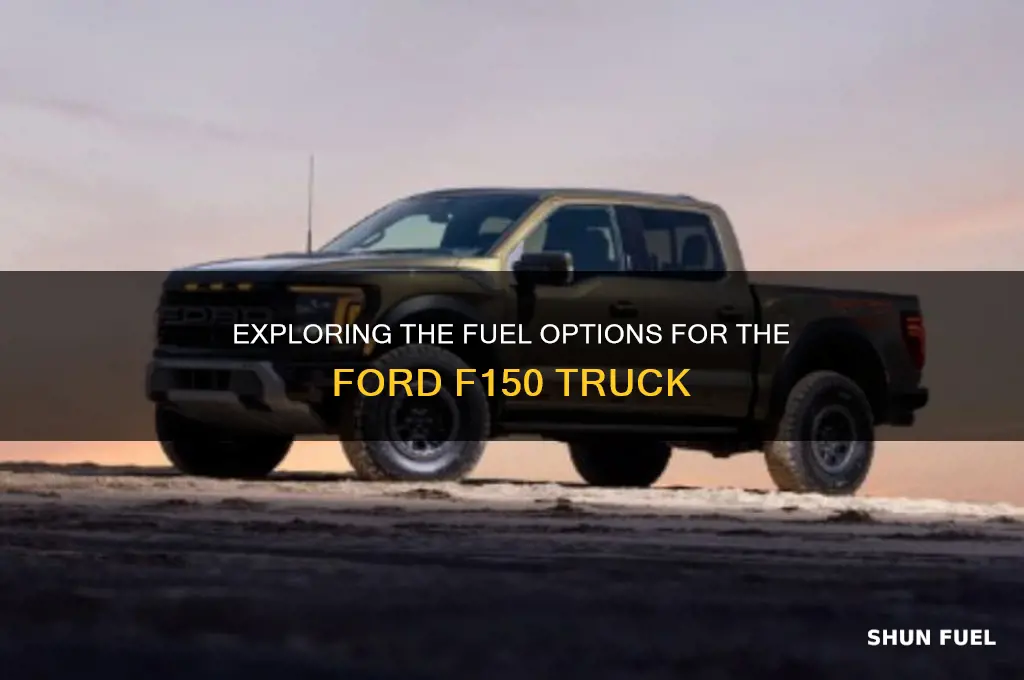what fuel does f150 use