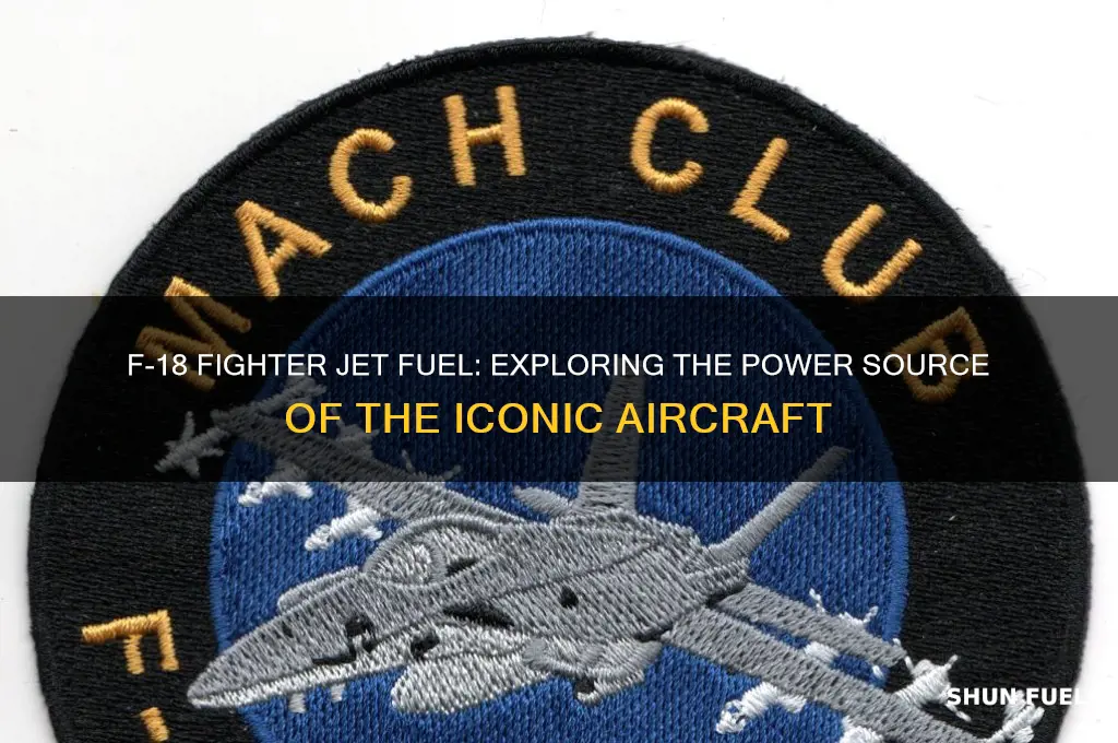 what fuel does f18 use