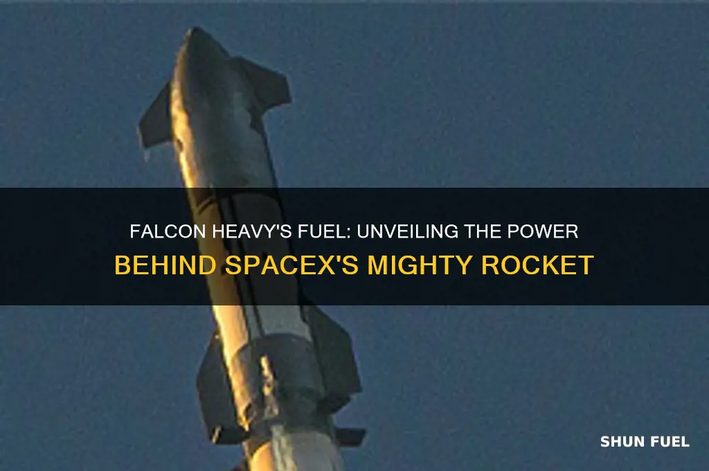 what fuel does falcon heavy use