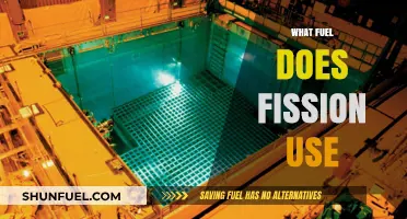Understanding Fission: The Role of Uranium and Plutonium as Fuel