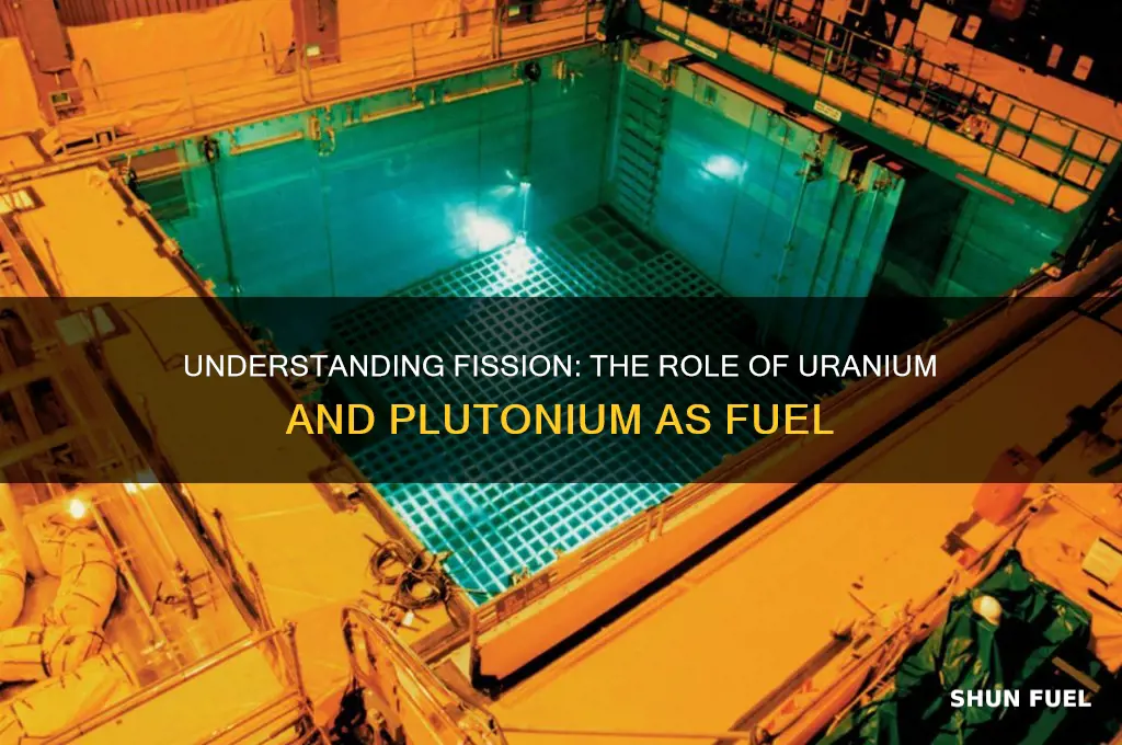 what fuel does fission use