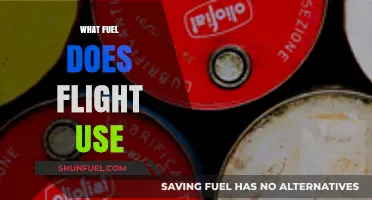 What Fuel Powers Flights: Exploring Aviation's Energy Sources