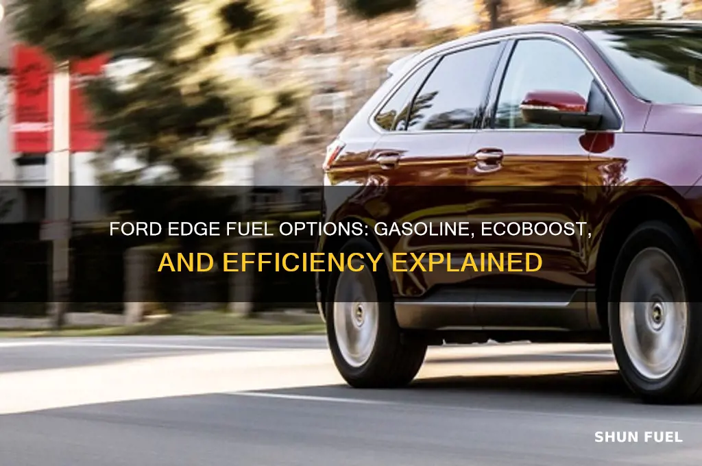 what fuel does ford edge use