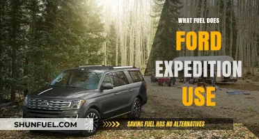 Ford Expedition Fuel Guide: Gasoline Types and Efficiency Explained