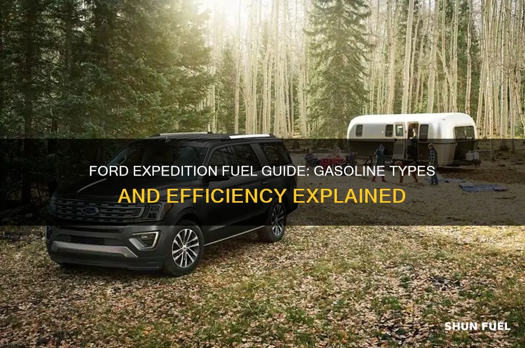 what fuel does ford expedition use