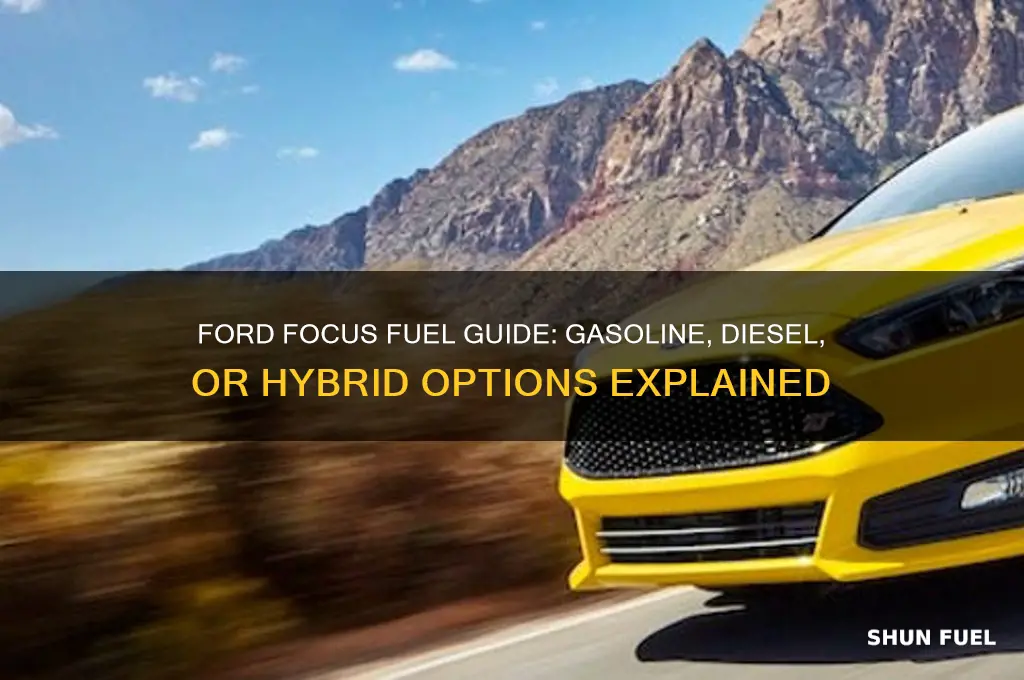 what fuel does ford focus use