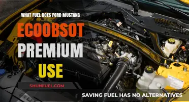 Ford Mustang EcoBoost Premium: Fuel Type and Efficiency Explained