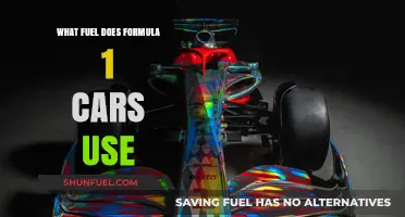 Formula 1 Fuel: Unveiling the High-Performance Power Source