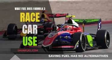 The Evolution of Formula 3 Race Car Fuel