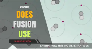 Unlocking Fusion Energy: The Surprising Fuel Sources Powering the Future