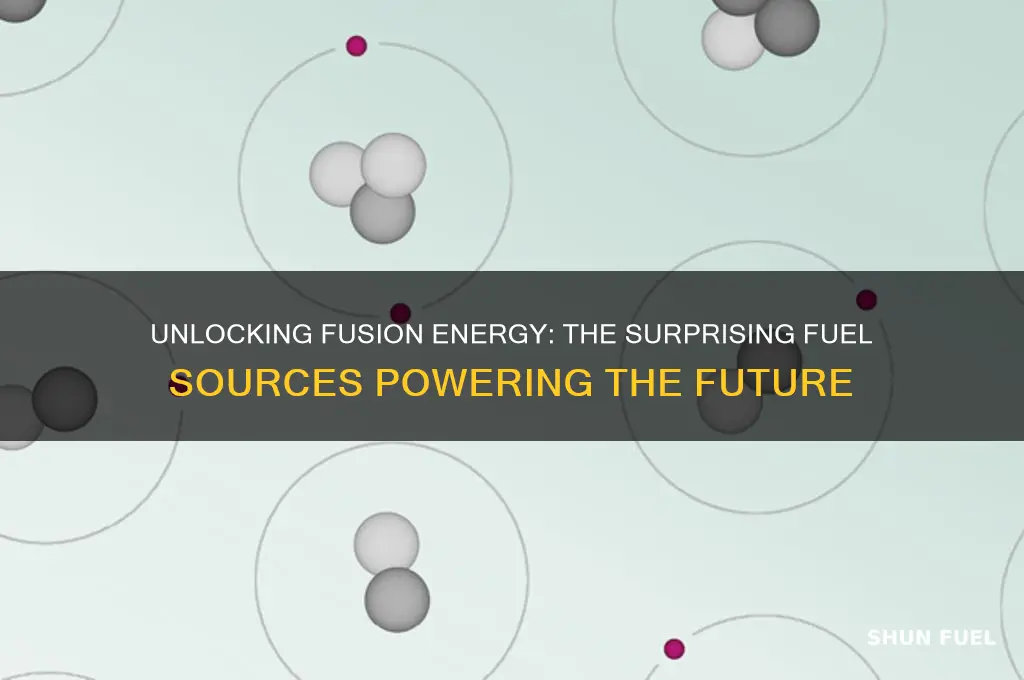 what fuel does fusion use