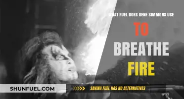 Gene Simmons' Fiery Secret: The Fuel Behind His Iconic Fire-Breathing Stunt