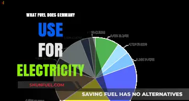 Germany's Electricity Mix: Coal, Renewables, and Nuclear Power Sources