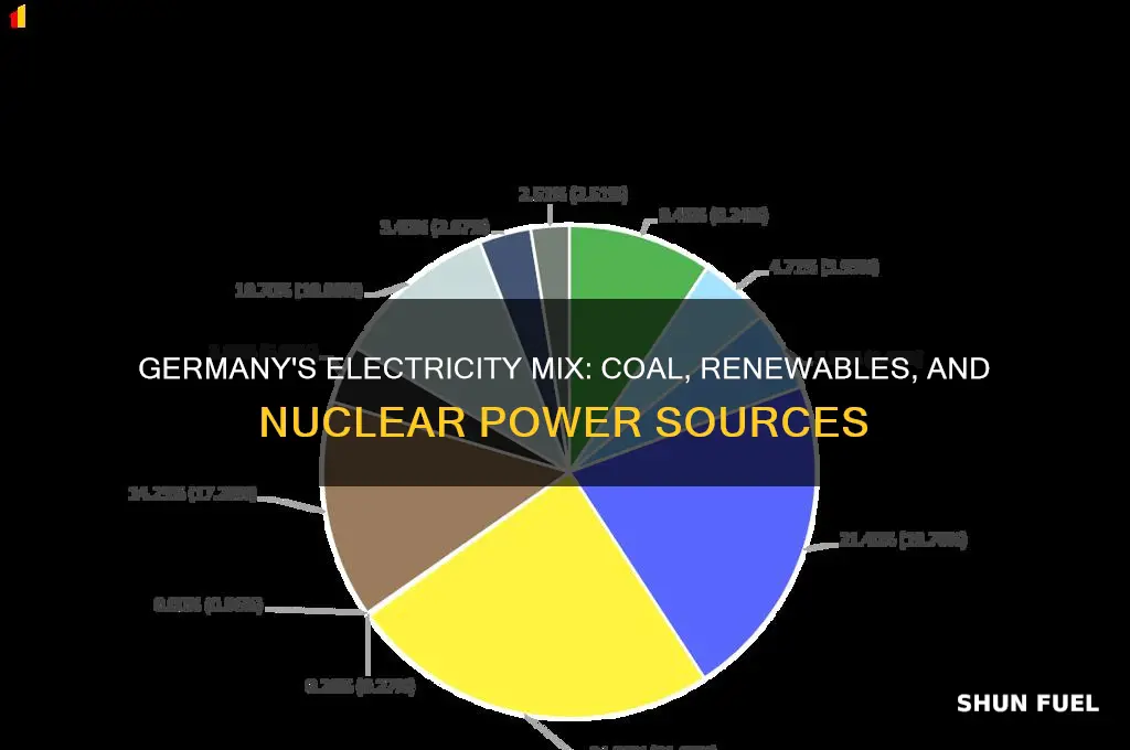 what fuel does germany use for electricity
