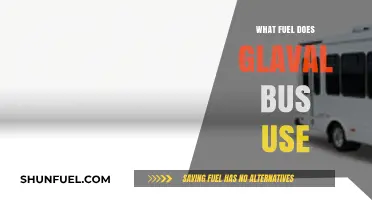 Glaval Bus Fuel Types: Diesel, Gasoline, or Alternative Options?