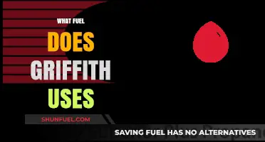 Griffith's Fuel Source: Unveiling the Power Behind the Legendary Character