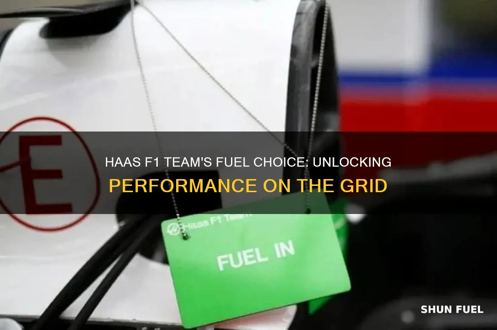 what fuel does haas f1 team use