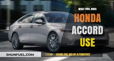 Honda Accord Fuel Type: Gasoline, Efficiency, and Performance Explained
