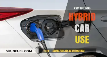 Hybrid Cars: Understanding the Fuel Types They Use for Efficiency