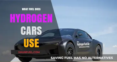 Hydrogen Fuel Cell Vehicles: Power Source and Sustainability Explained