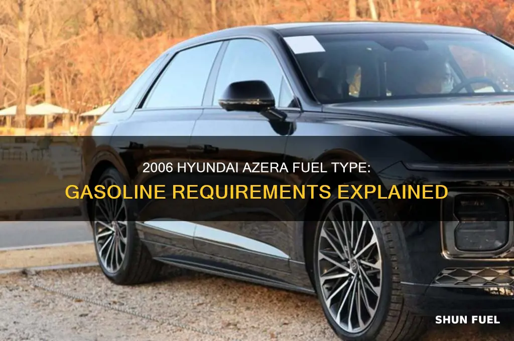 what fuel does hyundai azera used 2006