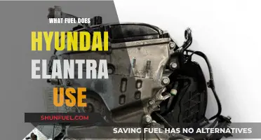 Hyundai Elantra Fuel Type: Gasoline, Efficiency, and Performance Explained