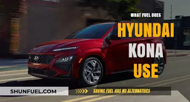 Hyundai Kona Fuel Options: Gasoline, Electric, or Hybrid?