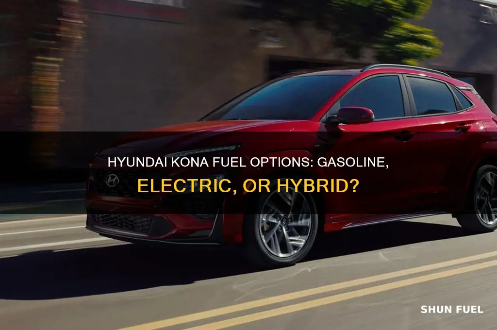 what fuel does hyundai kona use