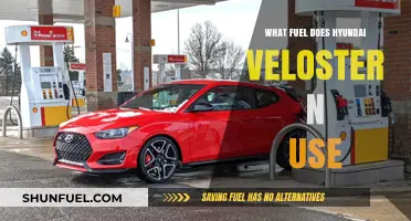 Hyundai Veloster N Fuel Type: Unleashing Performance with Premium Gasoline
