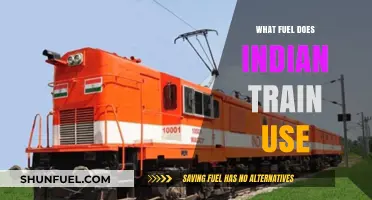 Indian Railways' Fuel Choice: Diesel, Electric, or Alternative Sources?