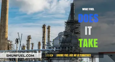 What Fuel Does It Take: Powering Performance and Progress