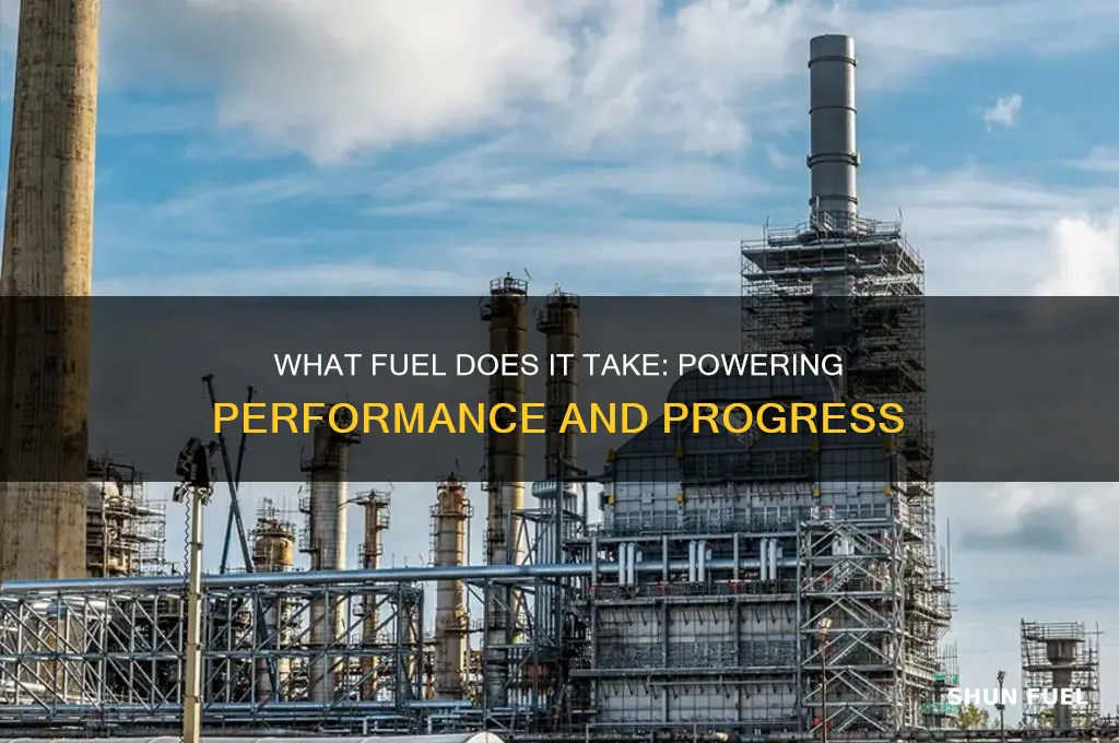 what fuel does it take