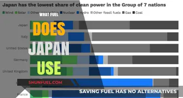 Japan's Energy Mix: Exploring the Fuels Powering the Nation's Economy