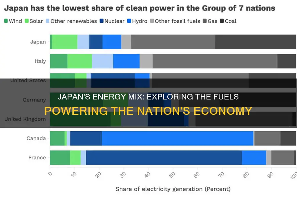what fuel does japan use