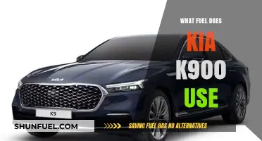 Kia K900 Fuel Type: Gasoline Requirements and Efficiency Explained