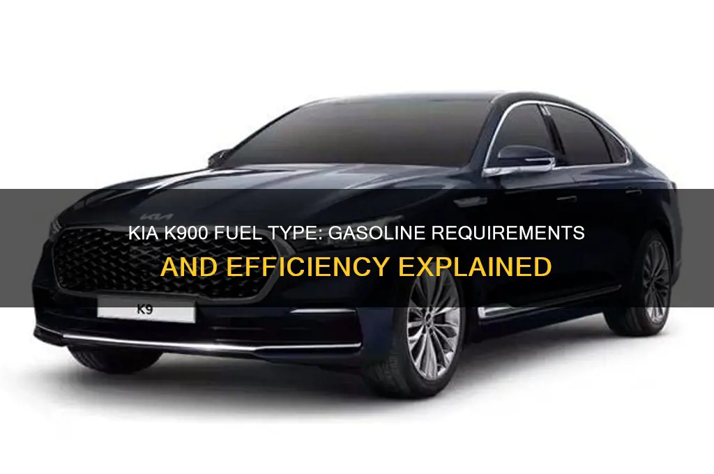 what fuel does kia k900 use