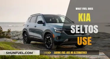 Kia Seltos Fuel Type: Gasoline, Diesel, or Hybrid Options Explained