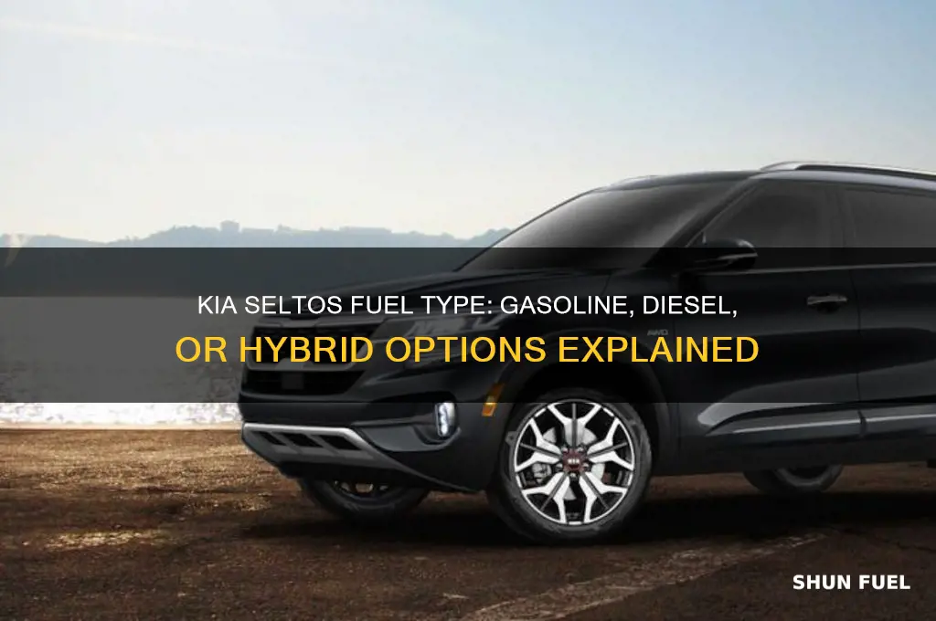 what fuel does kia seltos use