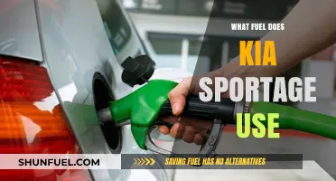 Kia Sportage Fuel Type: Gasoline, Diesel, or Hybrid Options Explained