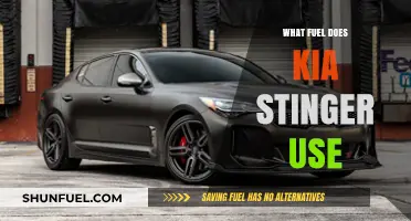Kia Stinger Fuel Type: Gasoline, Premium, or Octane Requirements Explained