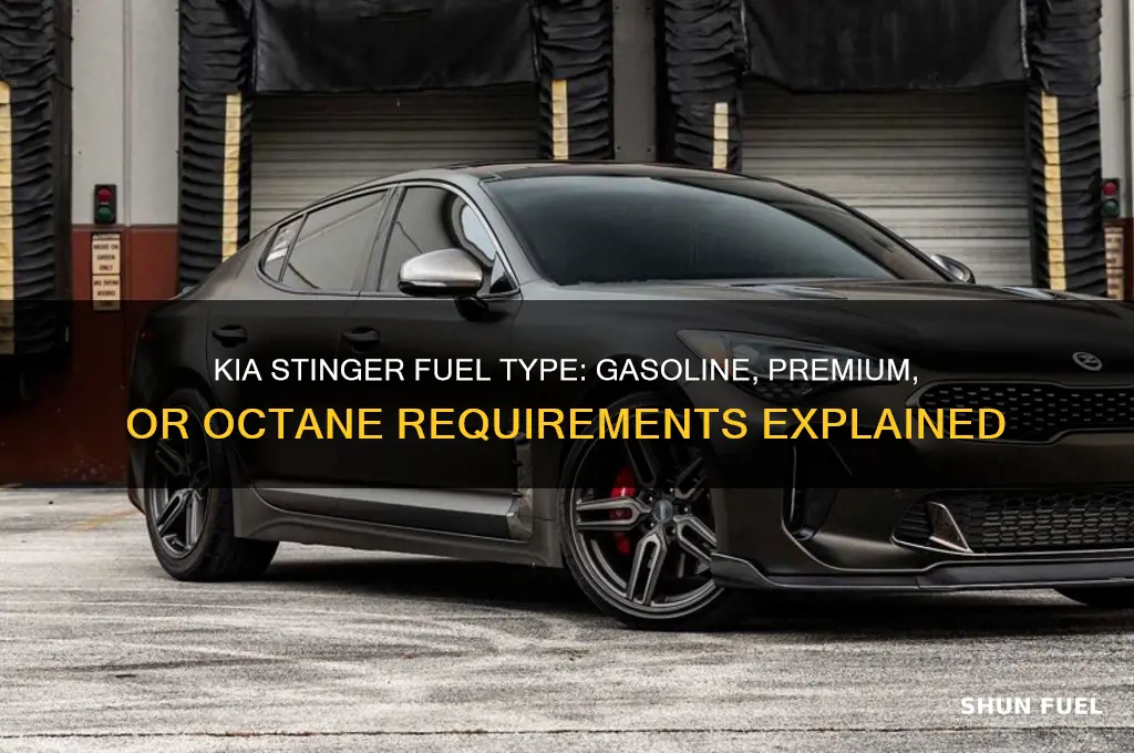what fuel does kia stinger use