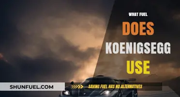 Koenigsegg's Fuel Choice: Unleashing Power with Premium Performance Fuels