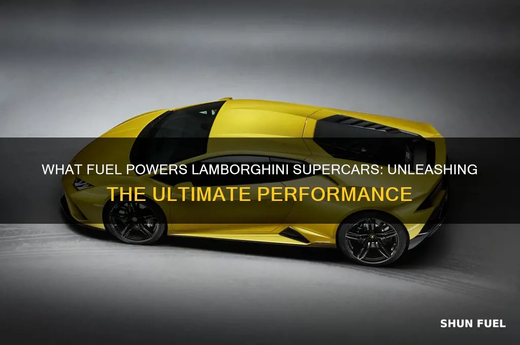 what fuel does lamborghini use