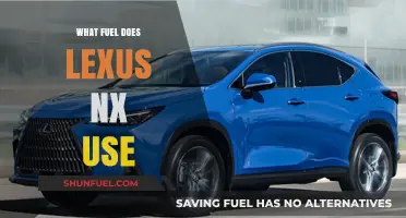 Lexus NX Fuel Options: Gasoline, Hybrid, or Electric Choices Explained