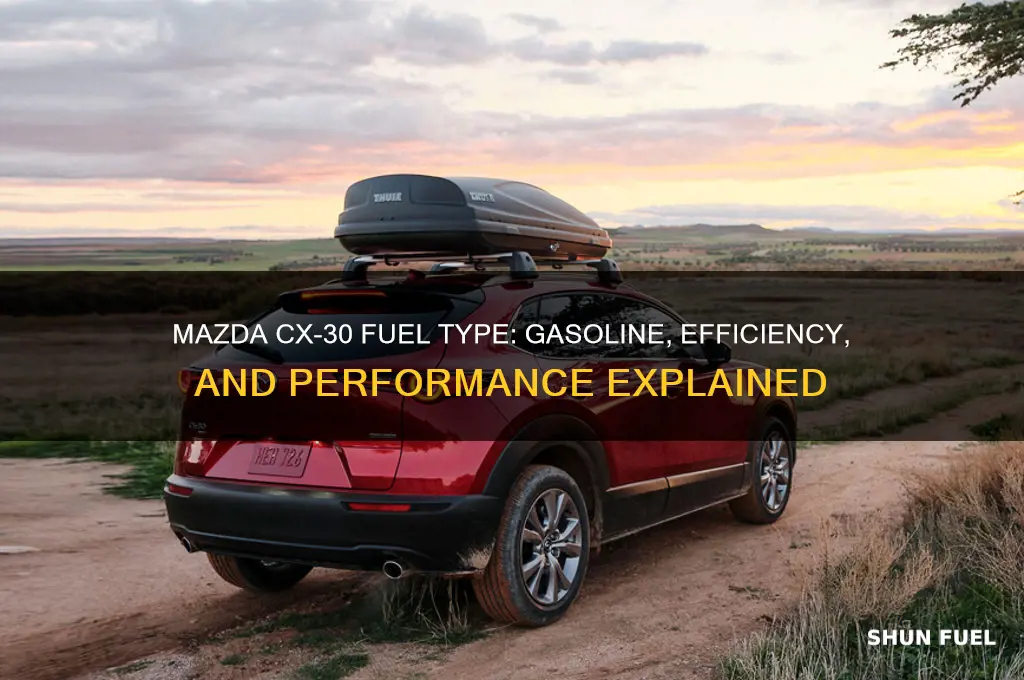 what fuel does mazda cx 30 use