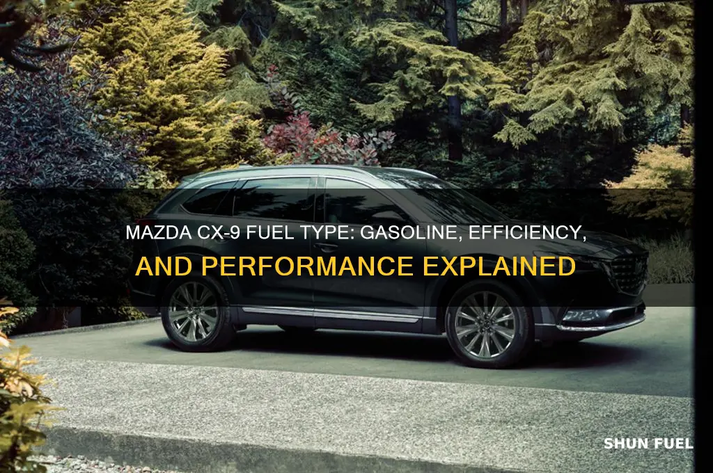 what fuel does mazda cx 9 use